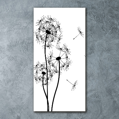 Acrylic print dandelions