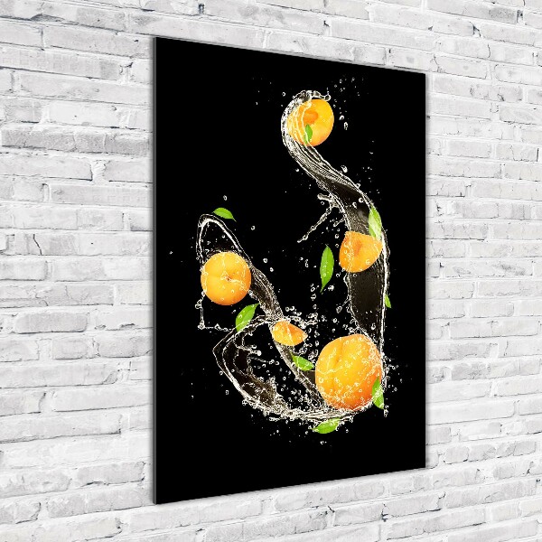 Acrylic wall art Oranges