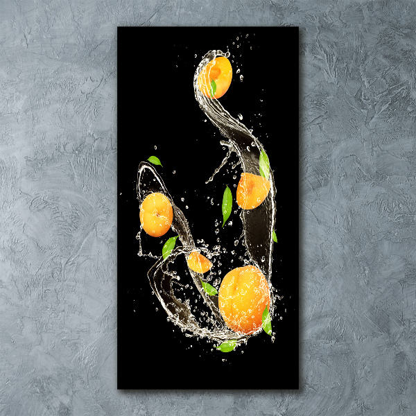 Acrylic wall art Oranges