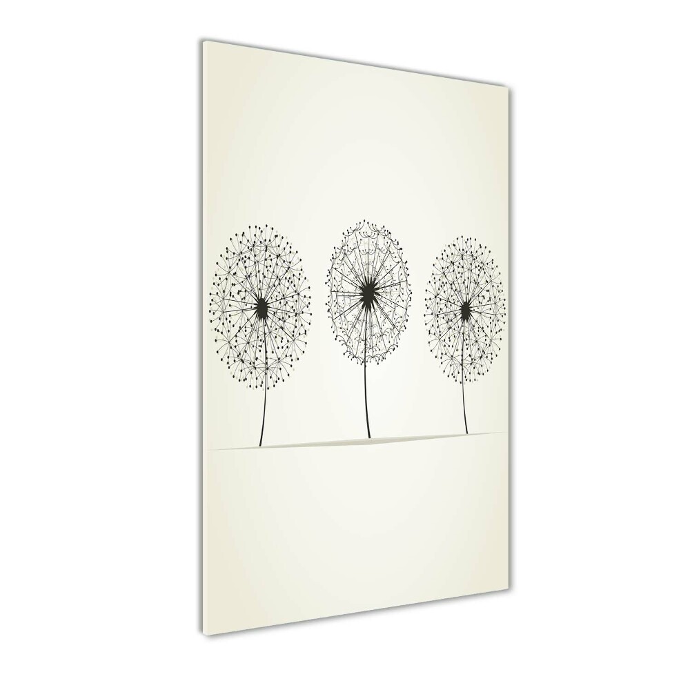 Acrylic print dandelions