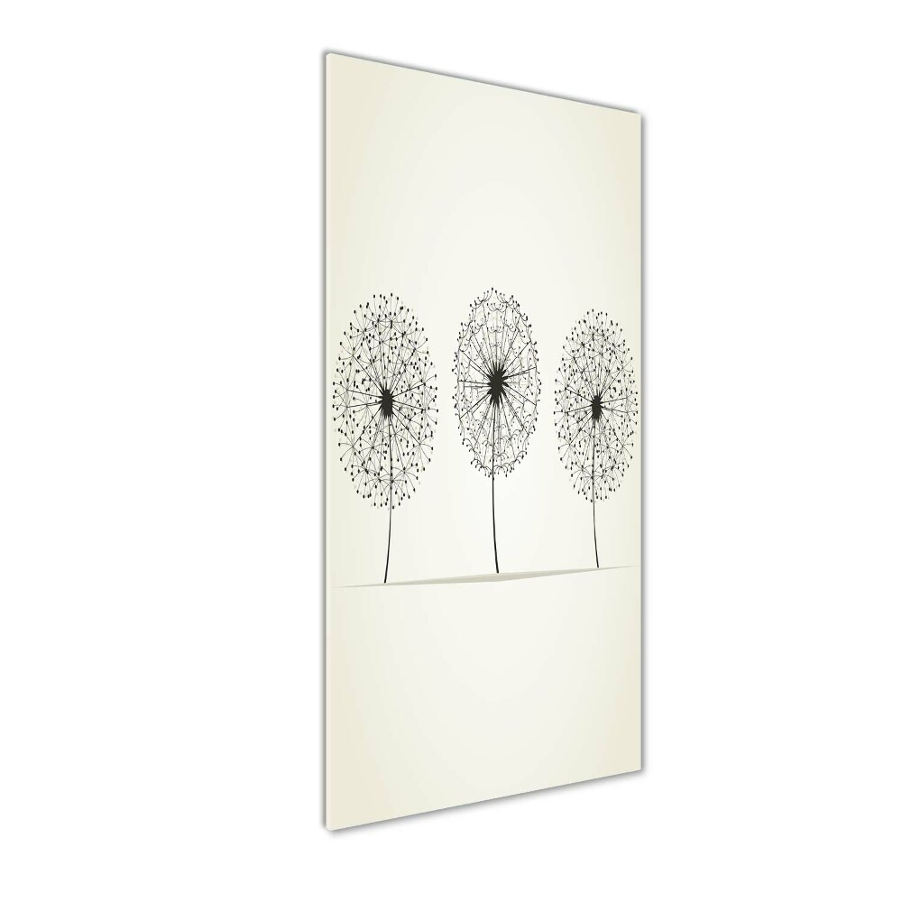 Acrylic print dandelions