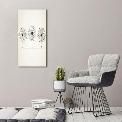 Acrylic print dandelions