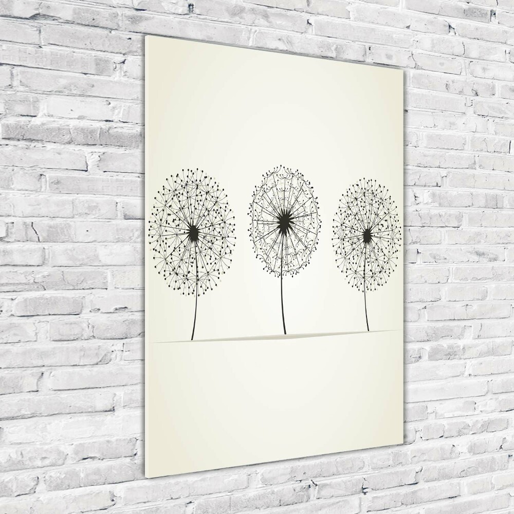 Acrylic print dandelions