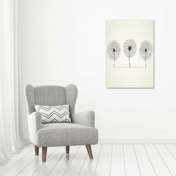 Acrylic print dandelions