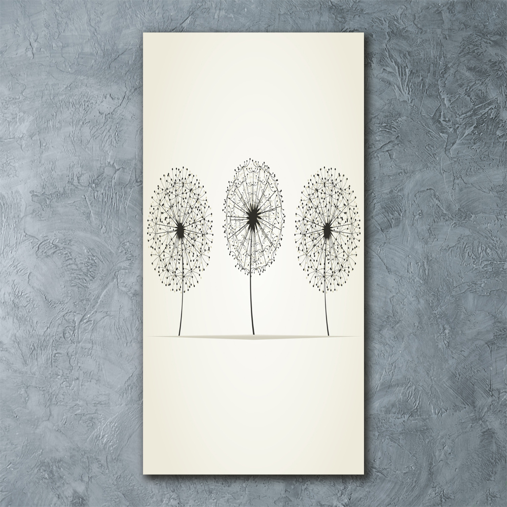 Acrylic print dandelions