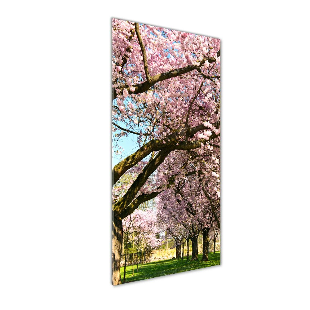 Print on acrylic glass Cherry trees