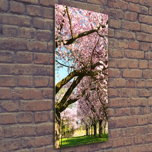 Print on acrylic glass Cherry trees