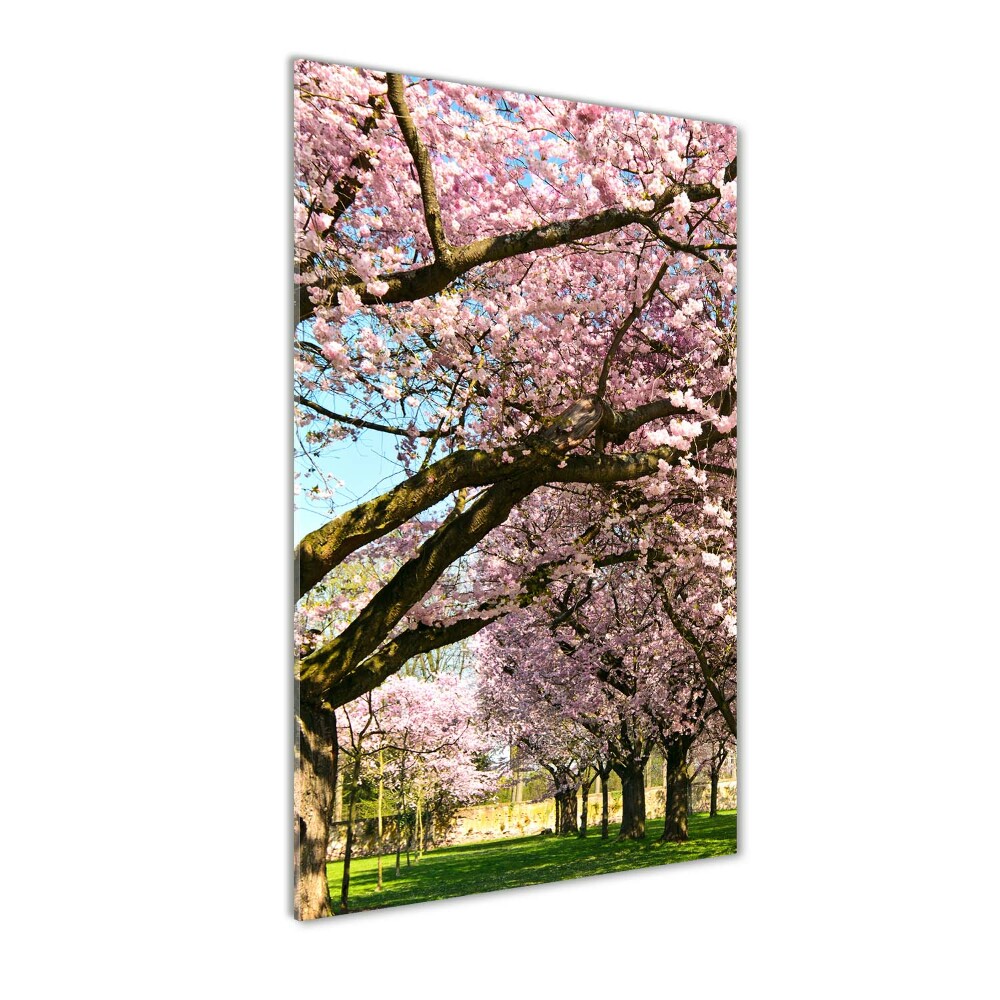 Print on acrylic glass Cherry trees