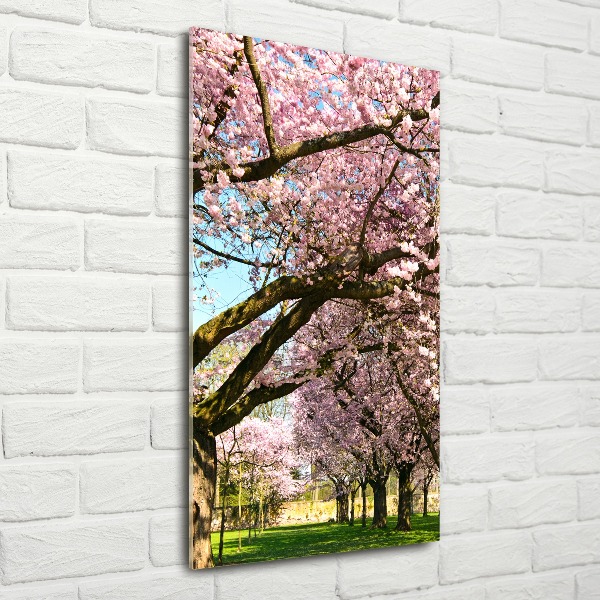 Print on acrylic glass Cherry trees