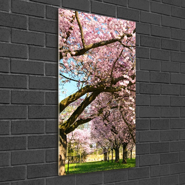 Print on acrylic glass Cherry trees