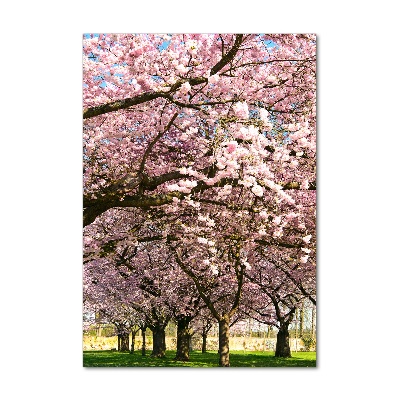 Print on acrylic glass Cherry trees