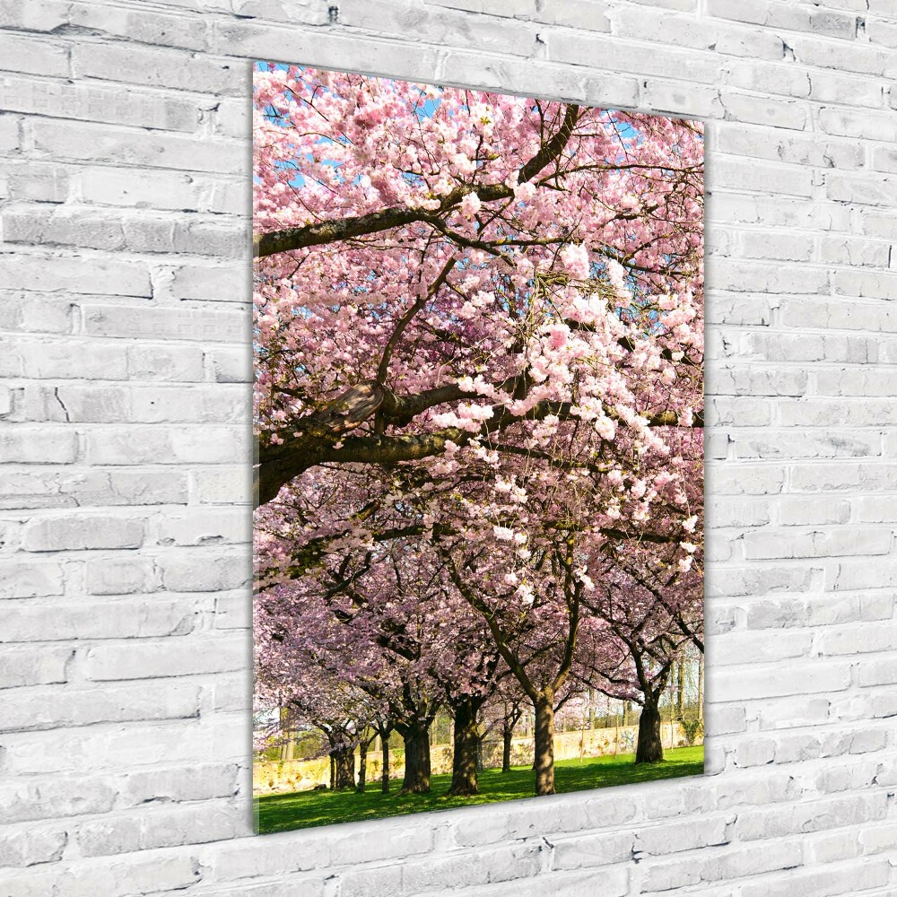 Print on acrylic glass Cherry trees