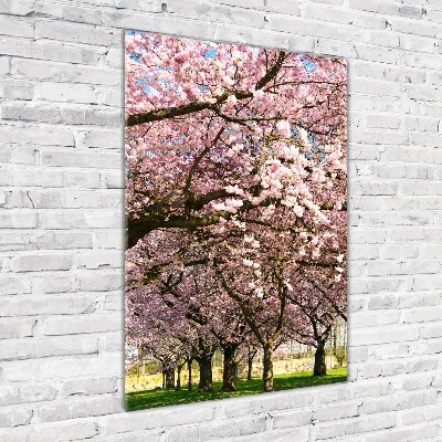 Print on acrylic glass Cherry trees