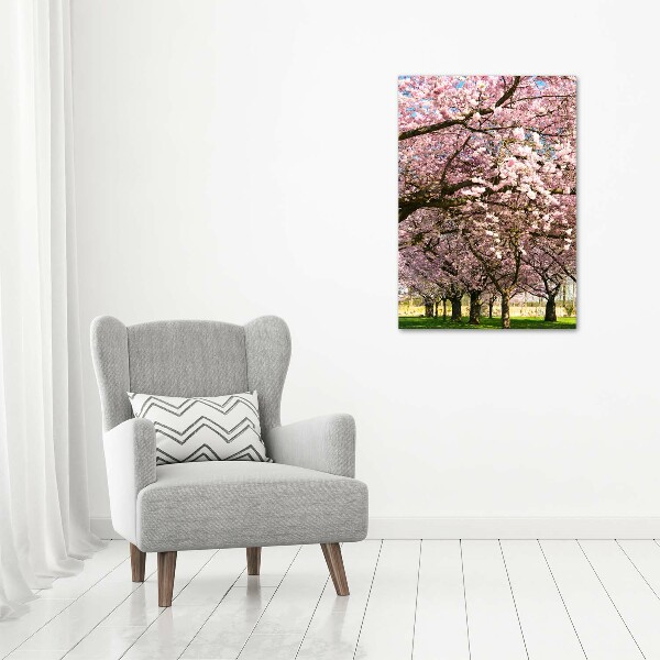 Print on acrylic glass Cherry trees