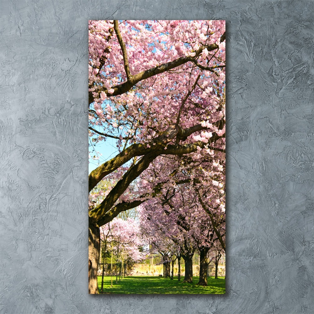 Print on acrylic glass Cherry trees