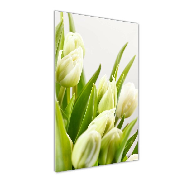 Acrylic print White tulips