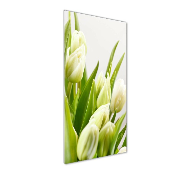 Acrylic print White tulips