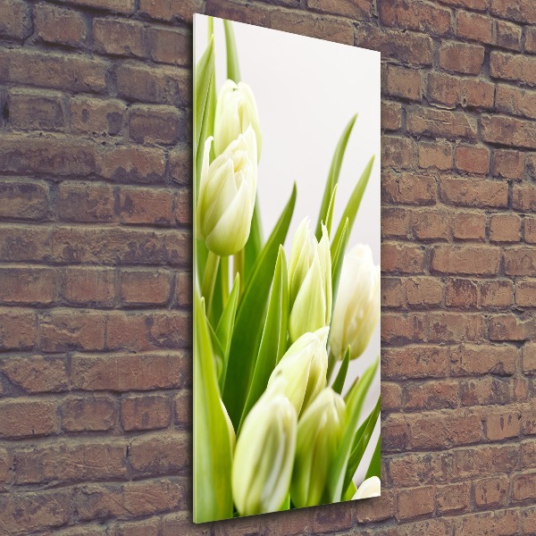 Acrylic print White tulips