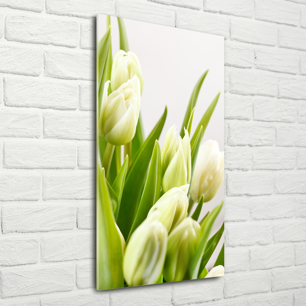 Acrylic print White tulips