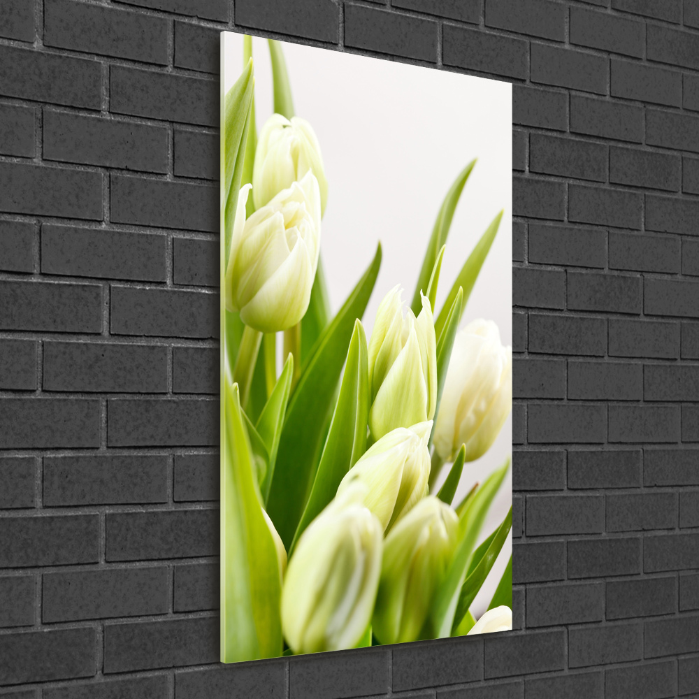 Acrylic print White tulips