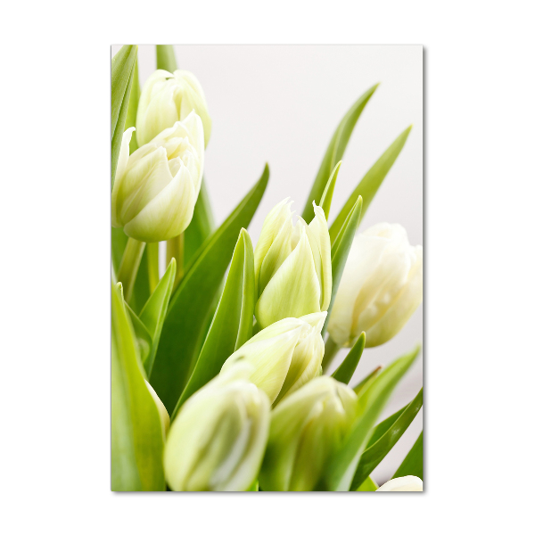 Acrylic print White tulips