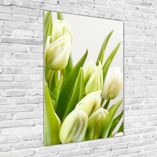 Acrylic print White tulips