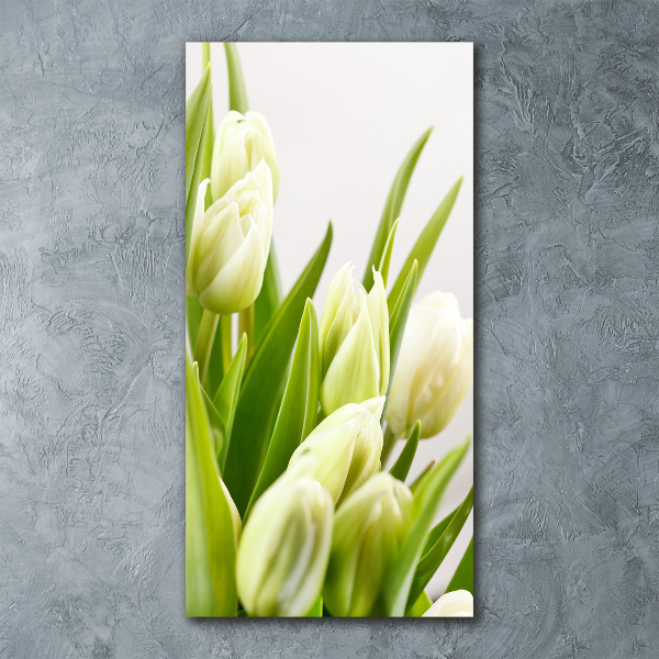 Acrylic print White tulips