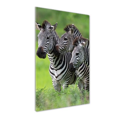 Print on acrylic Three zebras