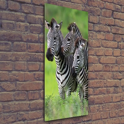 Print on acrylic Three zebras