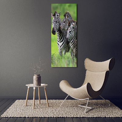 Print on acrylic Three zebras