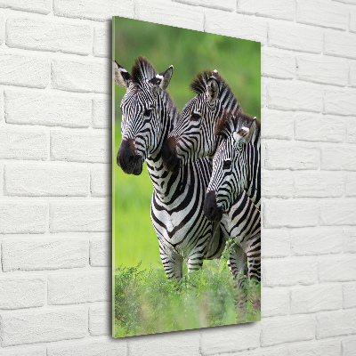 Print on acrylic Three zebras