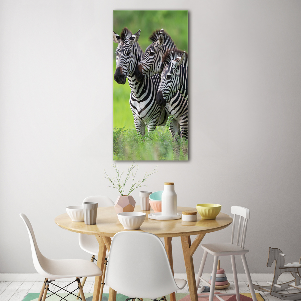 Print on acrylic Three zebras