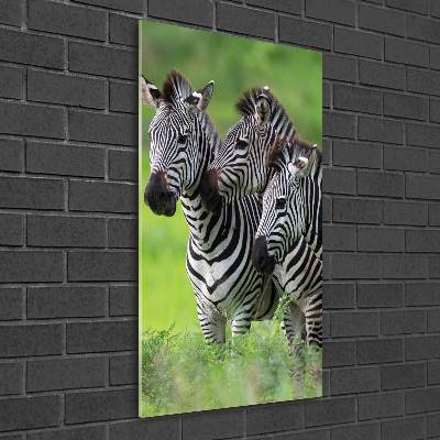 Print on acrylic Three zebras