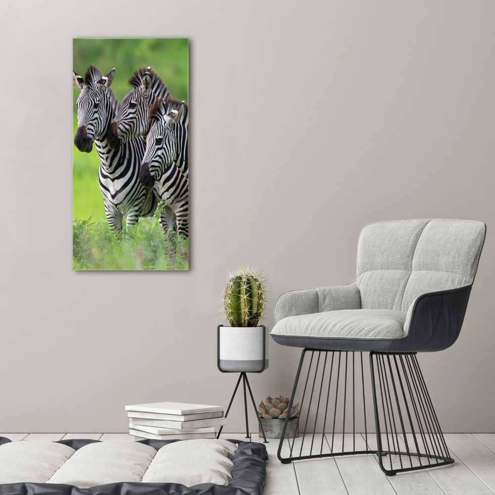 Print on acrylic Three zebras