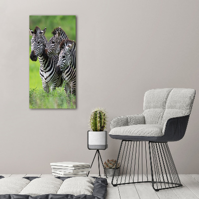 Print on acrylic Three zebras