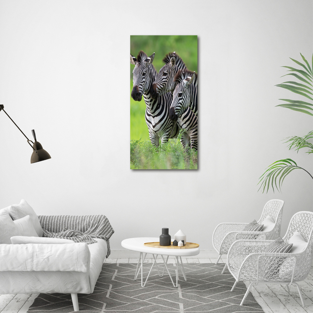 Print on acrylic Three zebras