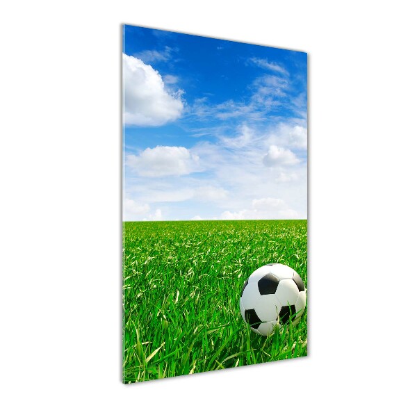 Wall art acrylic Football in the meadow