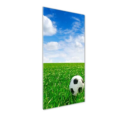 Wall art acrylic Football in the meadow