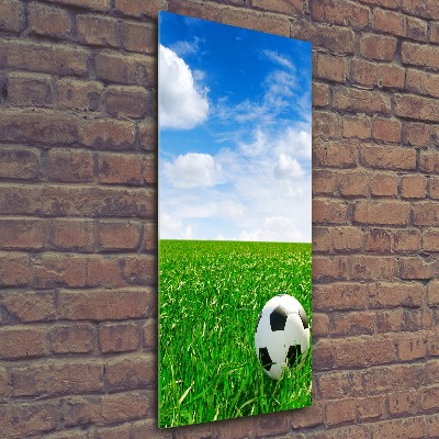 Wall art acrylic Football in the meadow