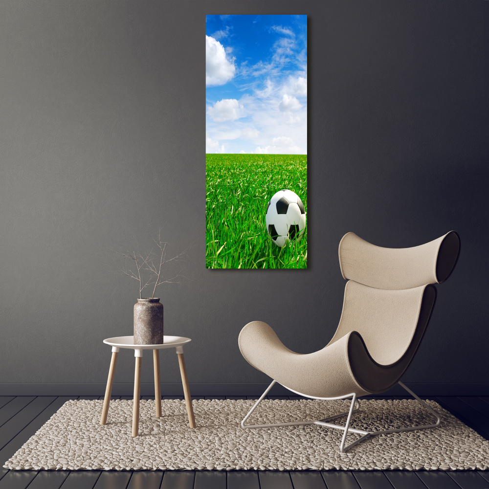 Wall art acrylic Football in the meadow