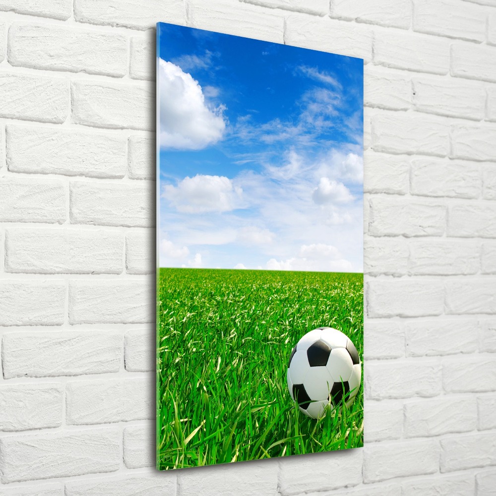 Wall art acrylic Football in the meadow