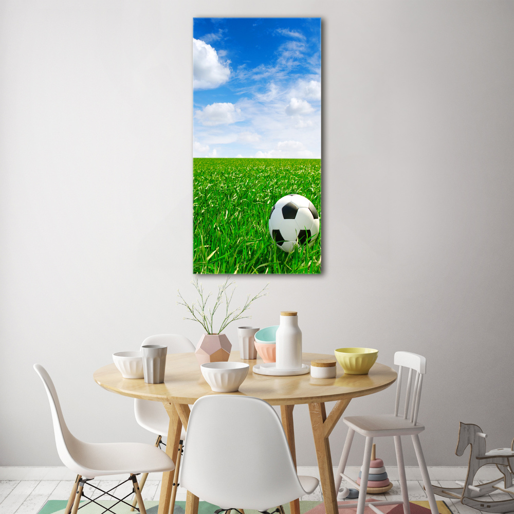 Wall art acrylic Football in the meadow