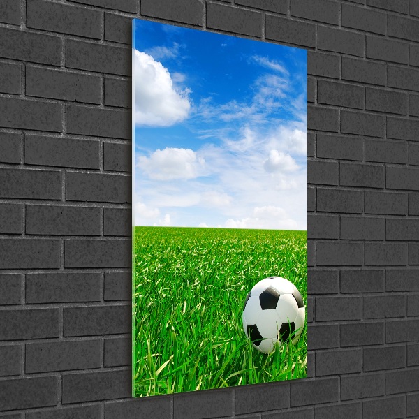 Wall art acrylic Football in the meadow