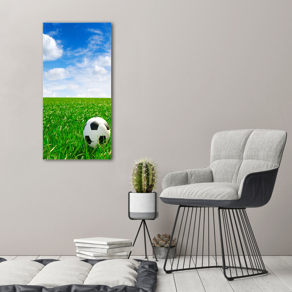 Wall art acrylic Football in the meadow