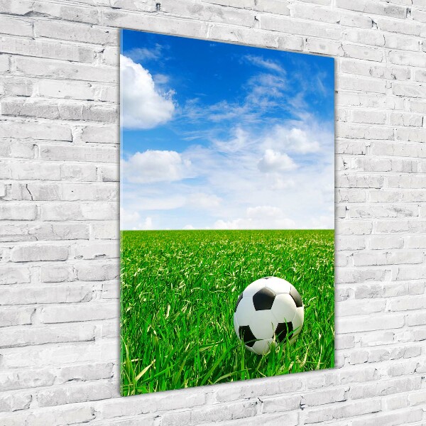 Wall art acrylic Football in the meadow