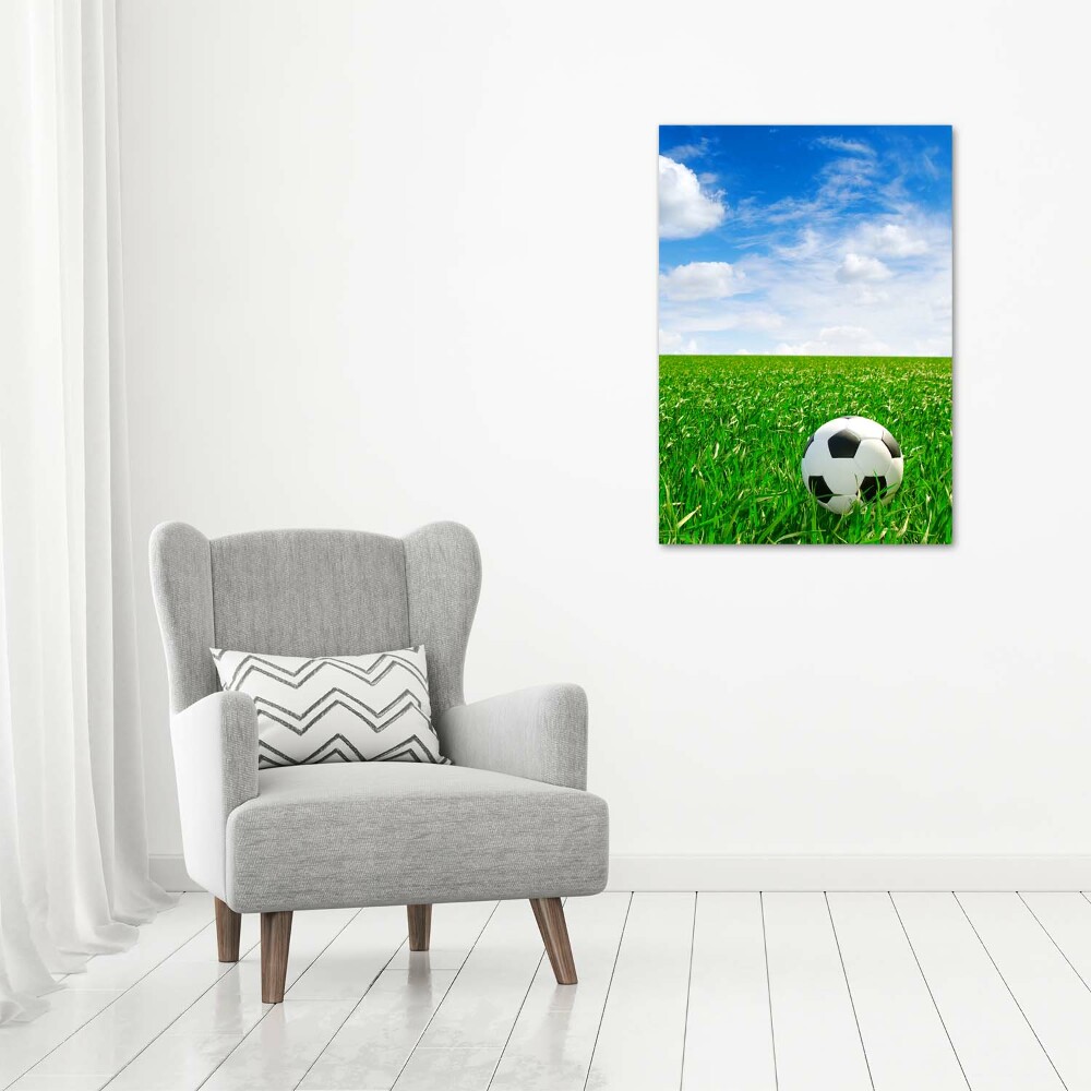 Wall art acrylic Football in the meadow