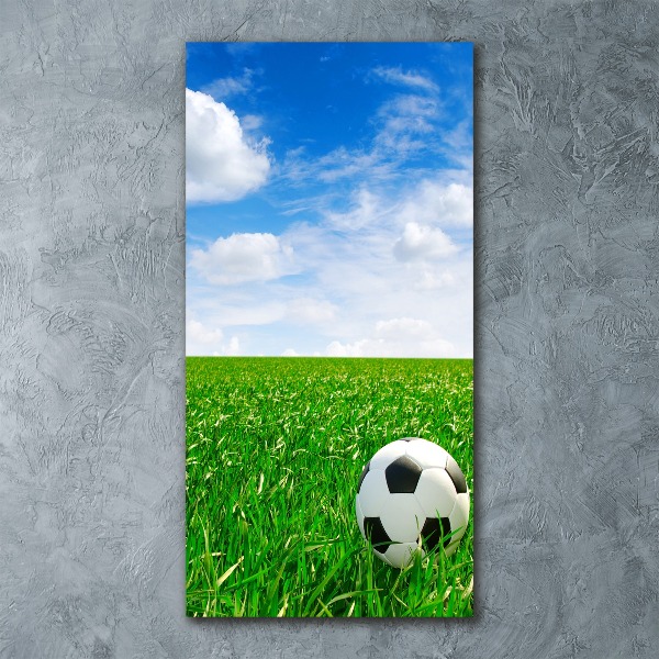 Wall art acrylic Football in the meadow