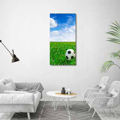 Wall art acrylic Football in the meadow