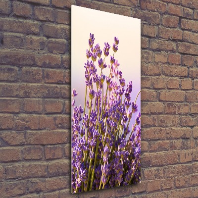 Acrylic print Lavender