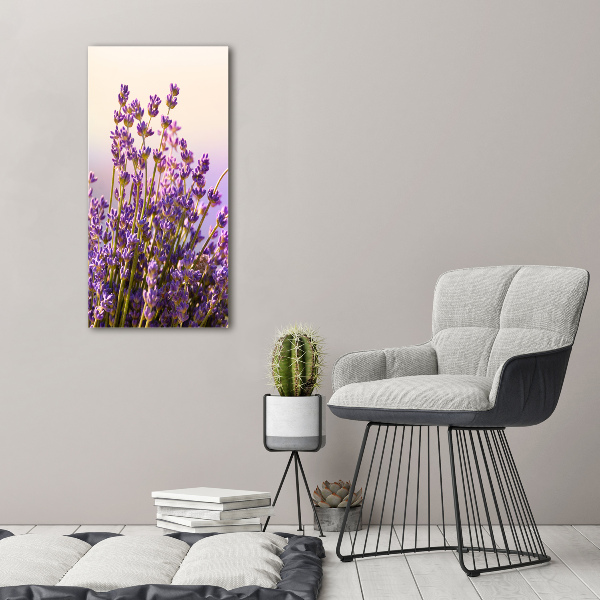 Acrylic print Lavender